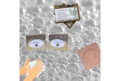 Soaps made in the PA Wilds