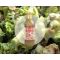 Creamy Broccoli Salad Featuring Village Eatinghouse's Sweet & Sour Italian Dressing