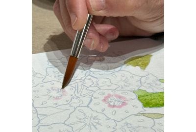 Julie's Secrets to Successful Watercolor Painting