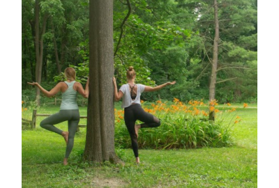 Stories, Teachings, and Basic Instruction for All Yoga Levels