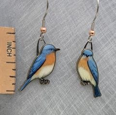 Eastern Bluebird Jabebo Earrings