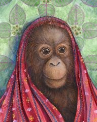 Tapanuli Girl orangutan animal portrait art print