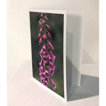 5x7 Fine Art Greeting Cards