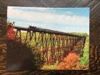 Autumn Train Eagle Eye Photography Post Card