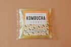 Kombucha SCOBY
