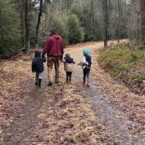 Exploring the experimental forest in the PA Wilds story.