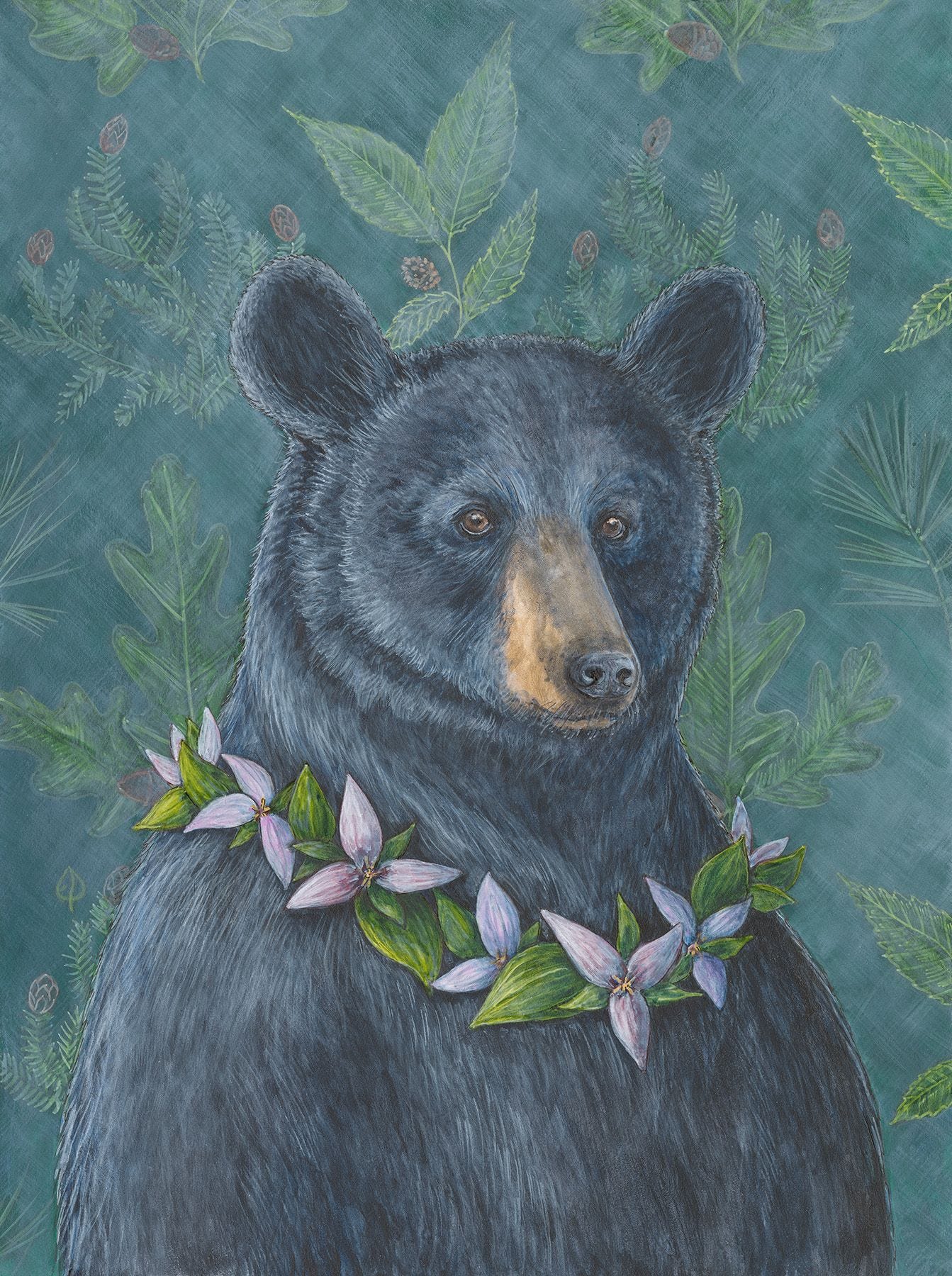 Ursa Major black bear portrait art print