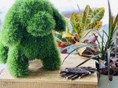 Beefhide Stick Dog Treat