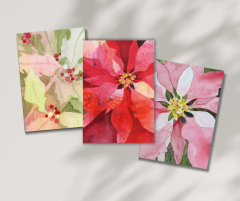 image of three watercolor paintings reproduced as cards, holly with berries red poinsettia and pink poinsettia