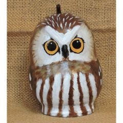 Handpainted Gourd Saw-Whet Owl