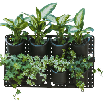 Expandable Green Wall
