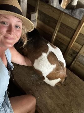 Milking our goat while raising kids