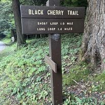 Hiking the black cherry trail 