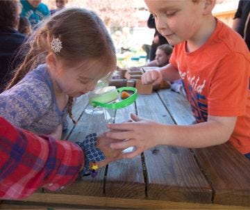 Learn About Butterflies with the reCAP EXPLORE Bug Catcher