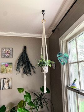 Macrame Plant Hanger - Simple 38in. length