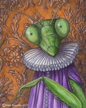 Lady Mantis praying mantis animal portrait art print