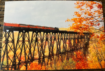 Vintage Skywalk Post Card