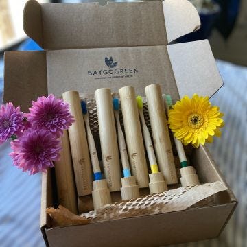 Organic Bamboo Toothbrush With Travel Case - Case of 12