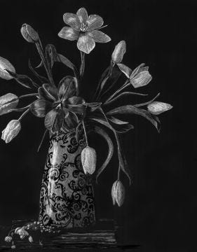 "Spring Glory" (tulips), 14x11" Original Scratchboard Framed Art