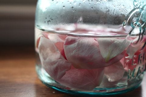 Essential Oils Guide: Costs, Quality, Uses, Efficacy, and More 