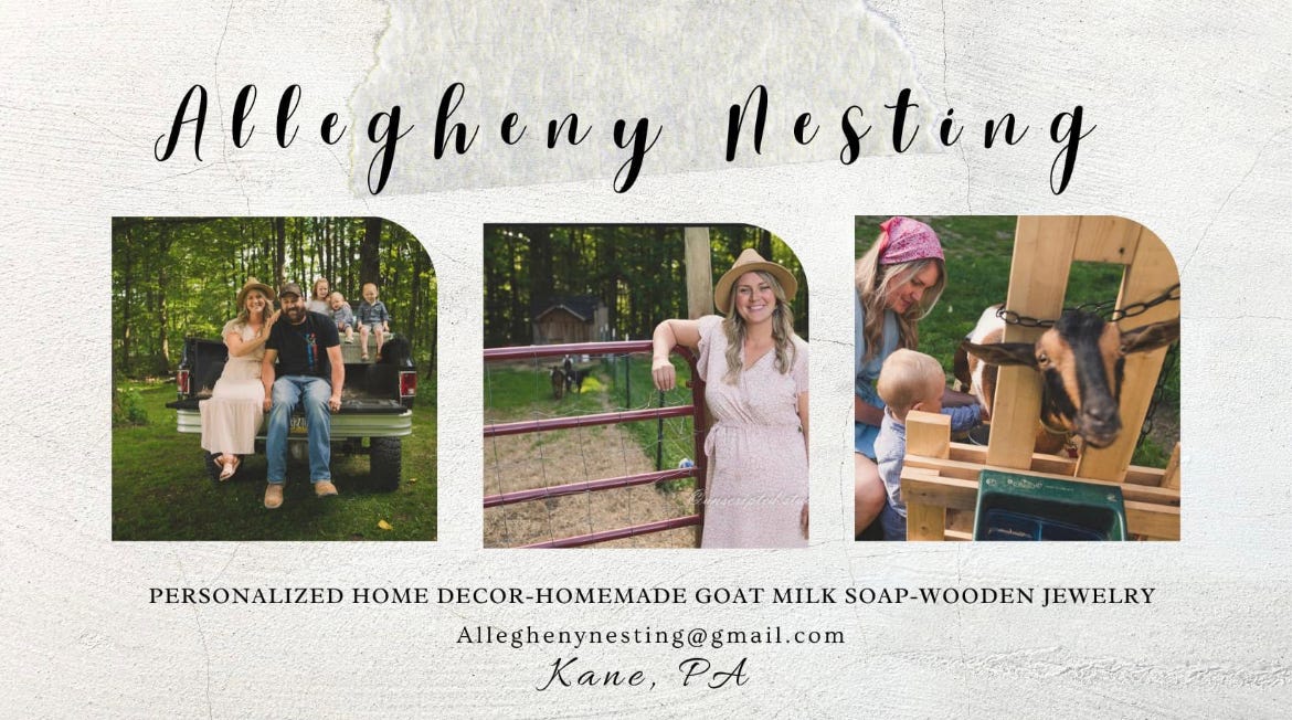 Allegheny Nesting LLC