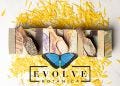 Evolve Botanica Co