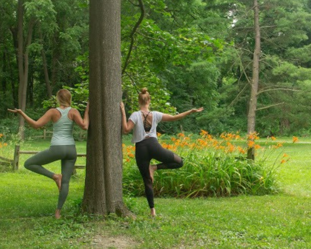 Stories, Teachings, and Basic Instruction for All Yoga Levels